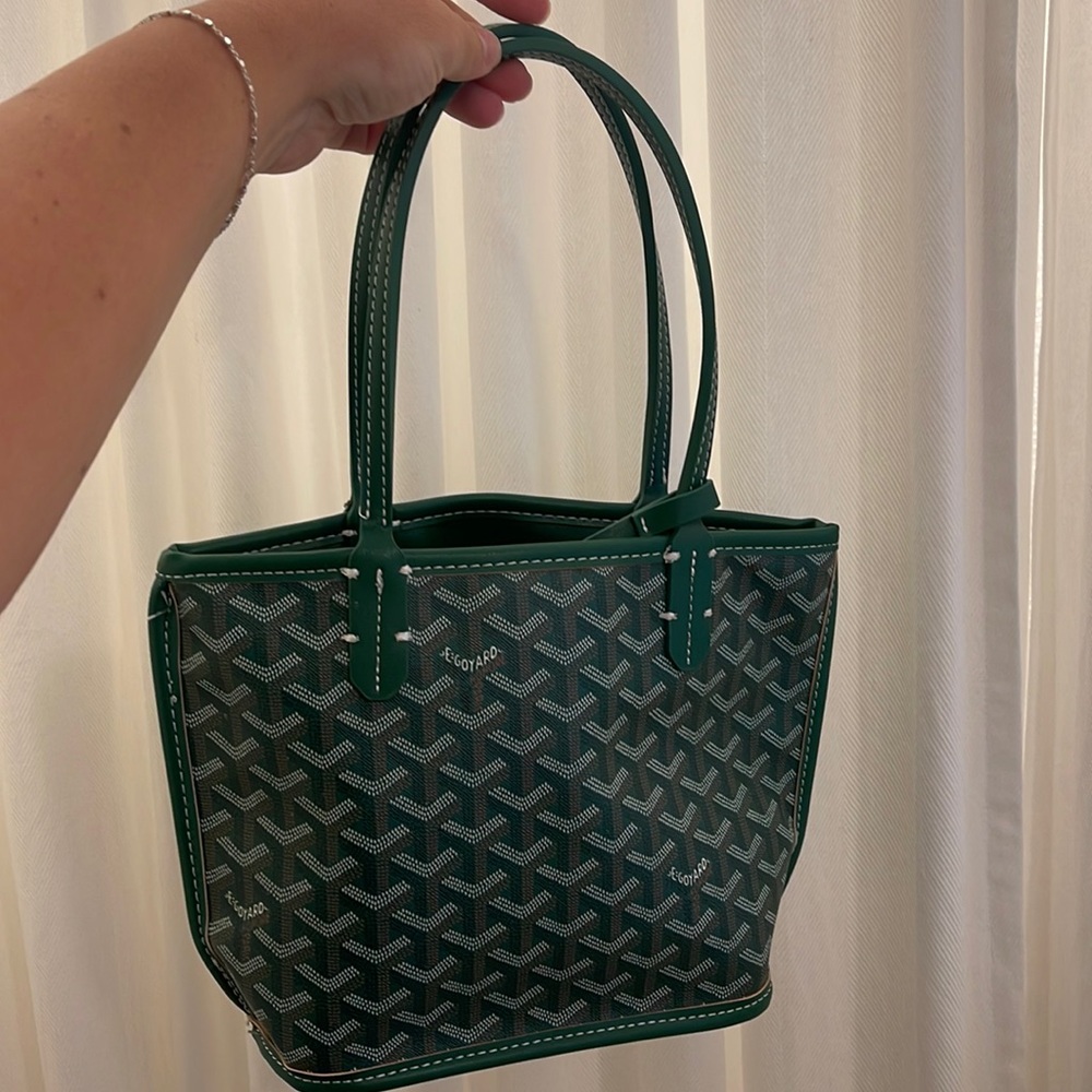 Goyard Anjou Mini Bag green